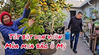 Nhà vườn của Thảo vào mùa mưa bão ở Mỹ vẫn còn nhiều trái cây