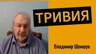 ТРИВИЯ. Владимир Шемшук.#познавательное #рекомендации #прошлыежизни#тривия#шемшук#врек