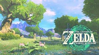  Linebeck Island｜Tears of the Kingdom｜ZELDA Ambience｜Relaxing Zelda BGM