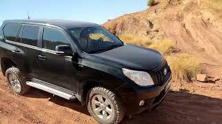 Toyota Land Cruiser 150 2010