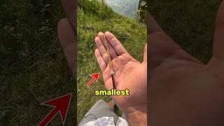 World’s Smallest Fishing Rod! (Can I catch a fish on it)