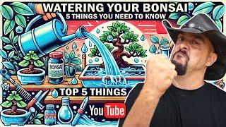 How to Water Your Bonsai - 5 Magical Tips