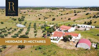 Herdade com 21 hectares perto do Alqueva | Ref. 791