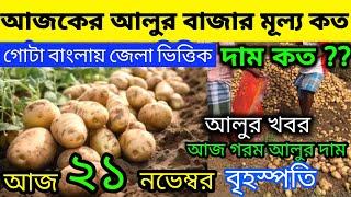 আলুর বর্তমান পরিস্থিতি I Current Situation of Potatos in Bengal  Indian Potato News 21/11/24