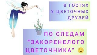 По следам "Закоренелого Цветочника"! В гостях у Евгении спустя 9 месяцев. Волгоград