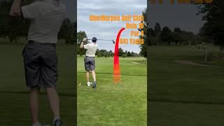 CAN I MAKE PAR? ️#subscribe #shorts #dailyvlog #golf #shottracer #par