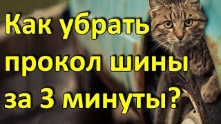 е1 продажа авто екатеринбург