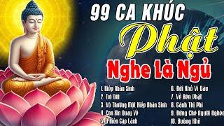 Nghe Nhạc Phật Mỗi Đêm NGỦ RẤT NGON -Tuyển Chọn 99 Ca Khúc Nhạc Phật Giáo 2024 Tịnh Tâm Ngủ Rất Ngon