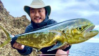 Incredible Catch From Shore | Japan Catch and Cook