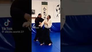 Aikido master amazing skills martial arts extreme stunts hapkido weak points dim mak touch death