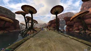 Tamriel Rebuilt OpenMW - Grasping Fortune - Walking Purple Road to Narsis