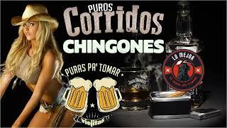 Puros Corridos Chingones - Puras Pa' Tomar Viejitas