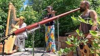 Organic Techno Jam in the Garden: Harp, Violin, Didgeridoo, and Birds