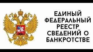 Поиск должника и отчета оценки на ЕФРСБ