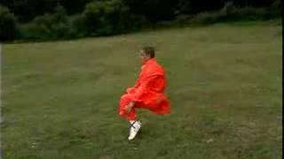 USA Shaolin Temple Training