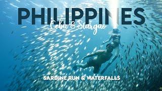 Philippines with 8 Miles from Home - Moalboal Sardine Run and Mantayupan Falls - Part 3