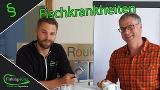 Was tun bei Fischkrankheiten und Parasiten im Gewässer? | Fishing-King.de