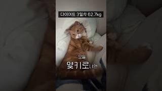 티파니 허리운동 꽤 괜찮네요?