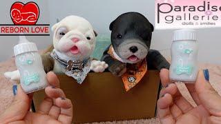 So Cute! Unboxing of NEW Furever babies Puppies from Paradise Galleries | Reborn Love