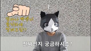 폴리 영어 유치원 2년 보낸 찐후기!