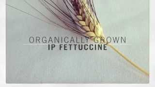 Organically Grown Identity Preserved Fettuccine - 2013 Sept. Harvest