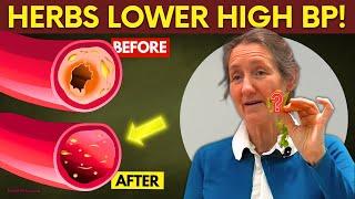 3 Miracle Herbs to Instantly Lower Blood Pressure & Clear Arteries – Barbara O'Neill's Secrets