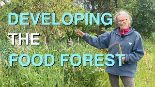 Developing the permaculture food forest by Obtaining a Yield!