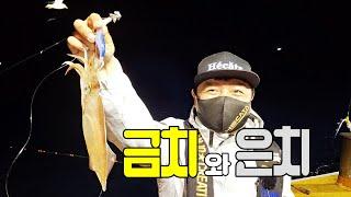 한치낚시 1탄 갈치가 더 많아요 메탈지그 꼭 챙겨가세요