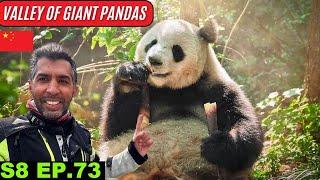 Valley of Giant Pandas China  S8 EP 73 | Pakistan to Japan Motorcycle Tour