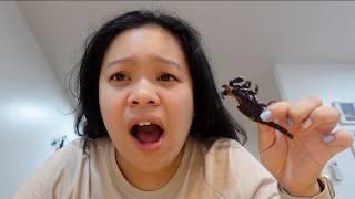 I ATE A SCORPION | Bangkok Solo Travel Day 1