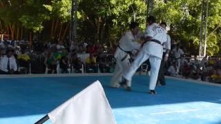 2º World Cup Karate Toeikan - Final - Leandro Muniz (IFK Brazil) X Cristiano José (Shidokan)