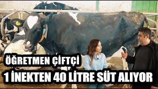 Öğretmen Çiftçi 1 İnekten 40 Litre Süt Alıyor! / Marka Çiftlikler