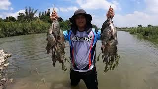 Catch and Cook| Net Fishing and Preparing foods for Lunch (OFW LIFE)