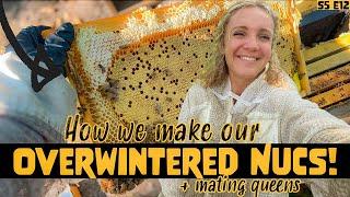 HOW We Mate 100 Queens and Make OVERWINTERED Nucs! Beekeeping 101 #beekeeping