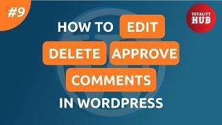 How to Edit, Delete or Approve Comments in WordPress | WordPress Tutorial