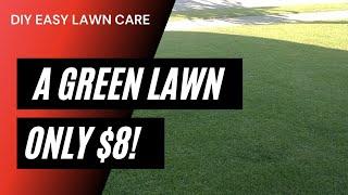 How to Get a Green Lawn Fast / $8 For A Green Lawn!