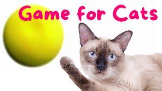 Game for cats #2 | 貓電視 | 數位逗貓棒 | 猫用動画 | 고양이가 좋아하는 영상 | #gameforcats #catgames #猫が喜ぶ映像