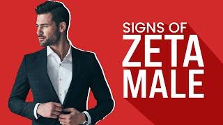 Signs & Characteristics of a Zeta Male Personality