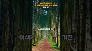 제주도 놀러가면 꼭 걸어야하는 제주 숲길 여행지 TOP 12   #여행지추천 #여행 #koreatrip #trip #travel #여행지 #제주도 #제주도여행