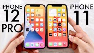 iPhone 12 Pro Vs iPhone 11! (Comparison) (Review)
