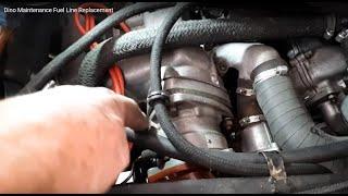 Dino Maintenance - Fuel Lines at 2 Years