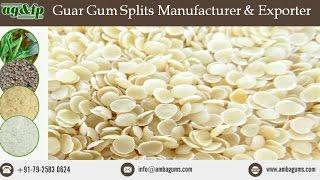 Guar Gum Splits Manufacturer, Exporter & Supplier - www.ambagums.com