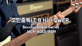 QWER - 「고민중독」 I Bacchus Global Series WL4-AGED/RSM Demo