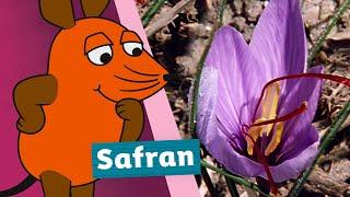 Was ist Safran? | Die Maus | WDR