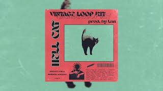 [Free] Vintage Loop Kit - "Hell Cat" |  Griselda, Alchemist, A$AP Rocky, Boldy James, Larry June,JID