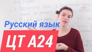 ЦТ А24.  Служебные части речи