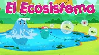 Ecosistemas | Tipos de ecosistemas | Educativos para niños 2021 | Documentales en español