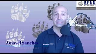 Video for new visitors