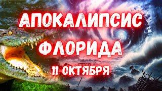 Апокалипсис во Флориде! Страшные последствия урагана Милтон. В домах и на улицах Аллигаторы