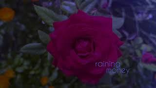 Raining Money (Morphic Field to Create Abundance)